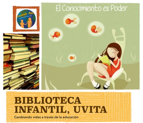 Biblioteca Flyer New